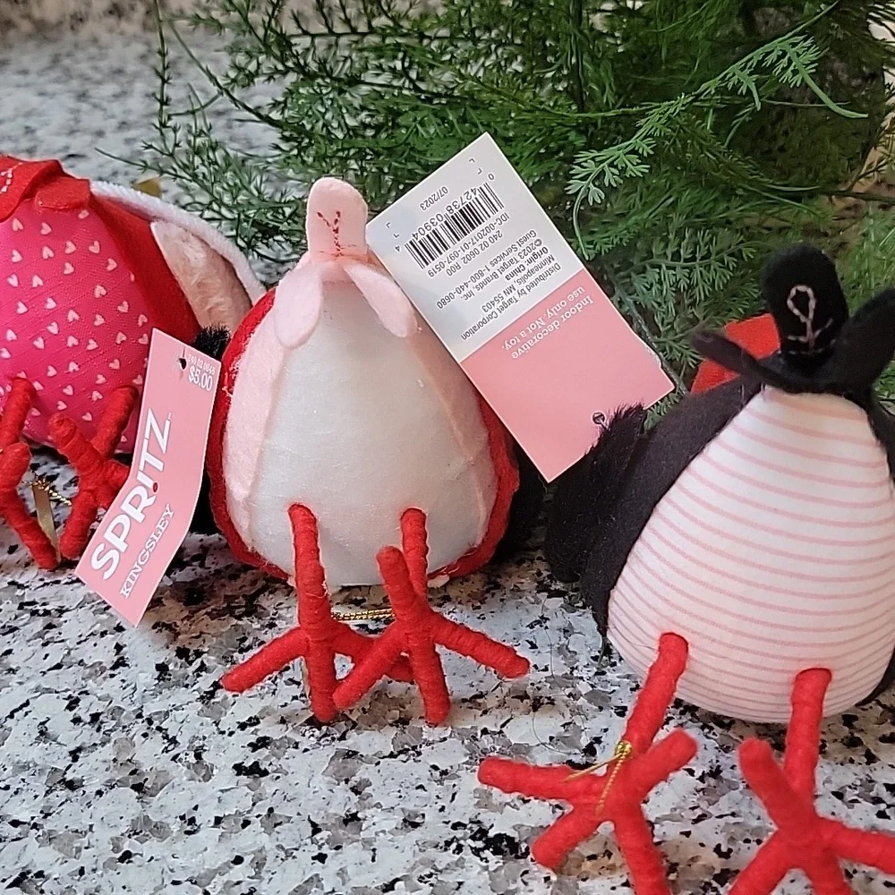 🎯Target | SPIRIT | Valentine's Day Novelty Birds (3)